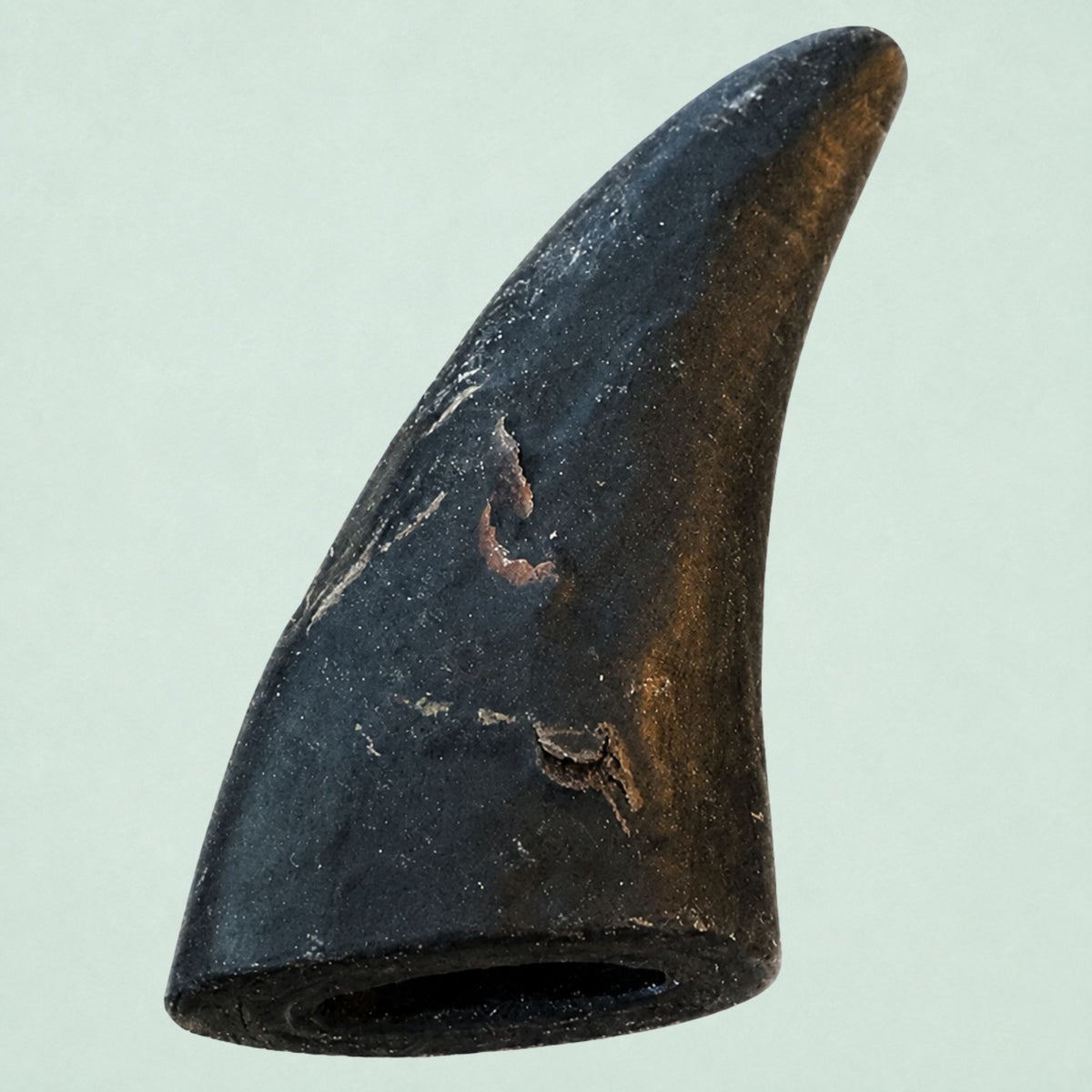 Boris & Lotje Buffelhoorn - S (75-150 g)