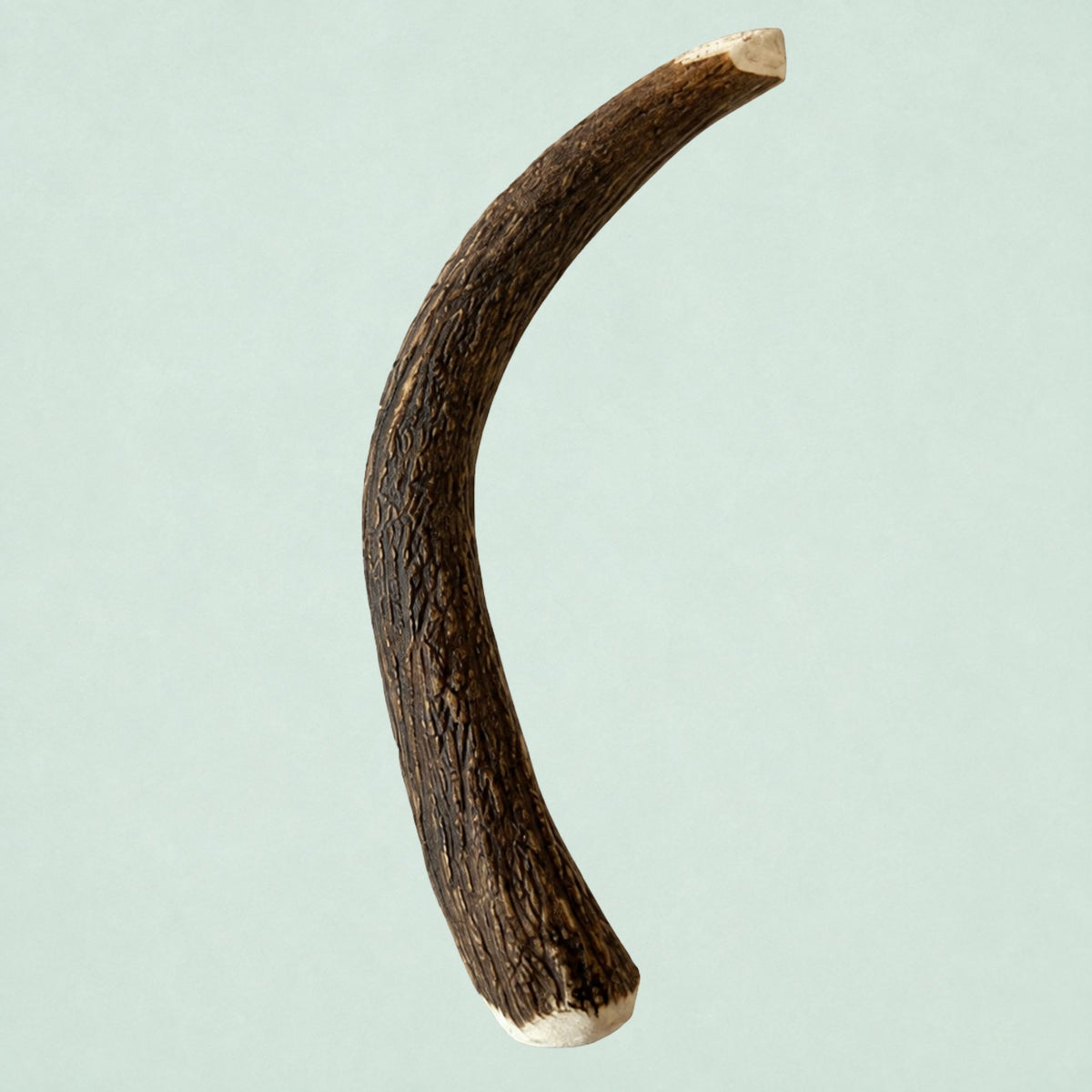 Boris & Lotje Damhertengewei - M (15-20 cm)