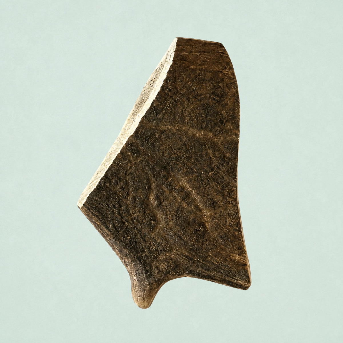 Boris & Lotje Damhertengewei - S (12-15 cm)